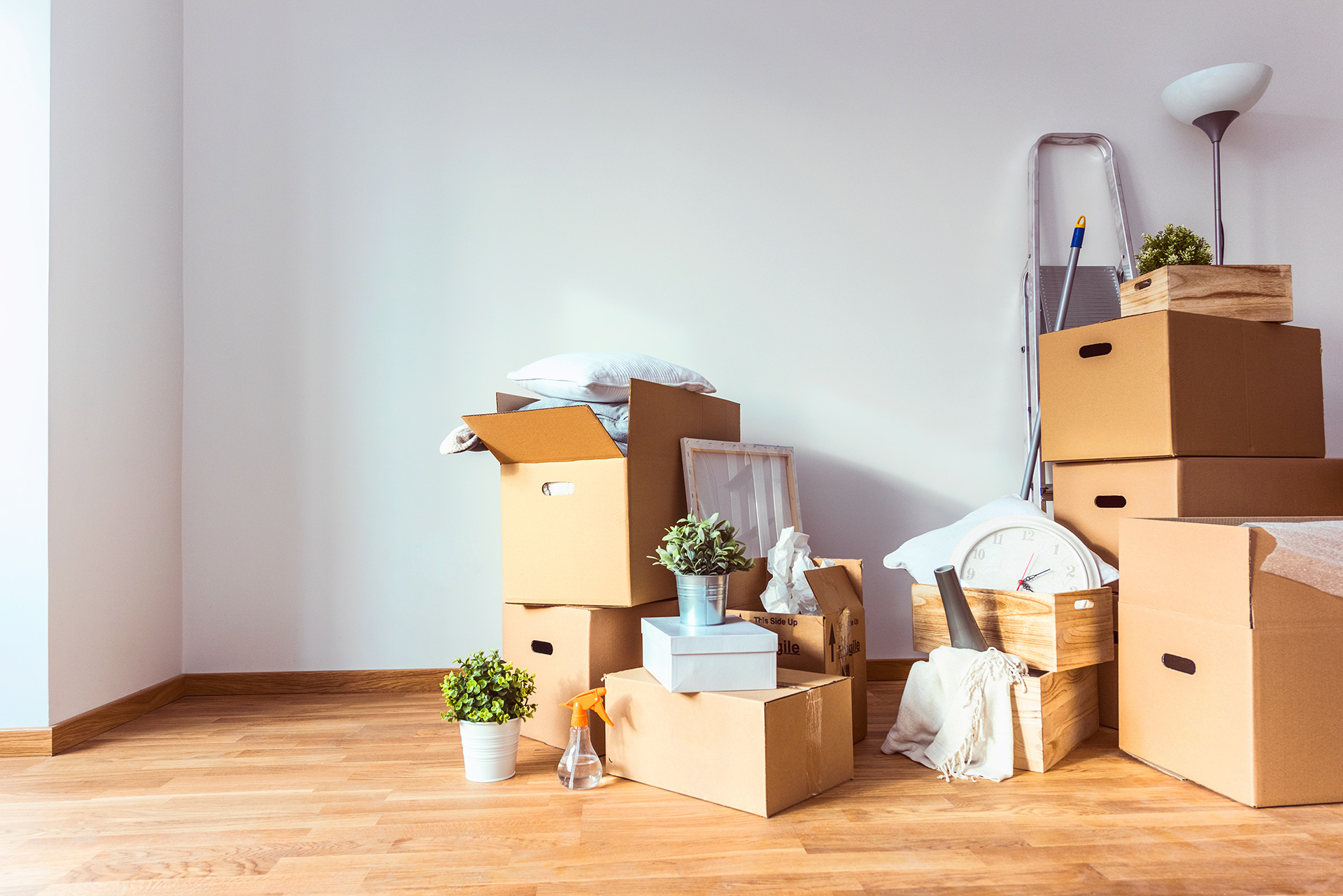 moving-mo-chamber
